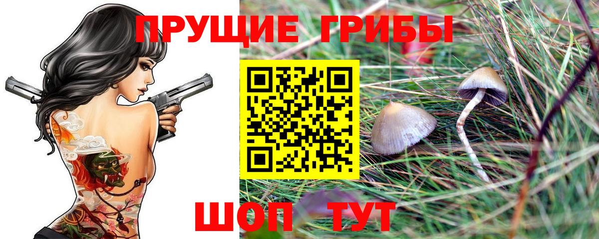 Псилоцибиновые грибы ЛСД  наркота  Сухой Лог  Псилоцибиновые грибы прущие грибы  Вход с VPN 