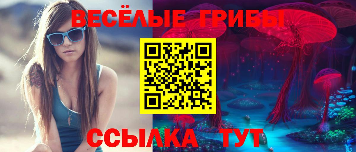 Псилоцибиновые грибы Psilocybine cubensis Сухой Лог